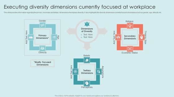 Executing Diversity Executing Diversity Dimensions Currently Focused At Workplace Demonstration PDF