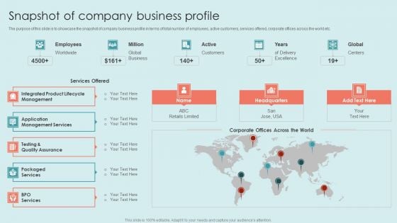 Executing Diversity Snapshot Of Company Business Profile Infographics PDF