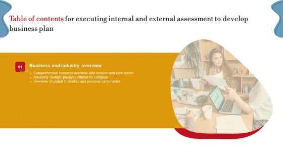 Executing Internal And External Assessment To Develop Business Plan Table Of Contents Rules PDF