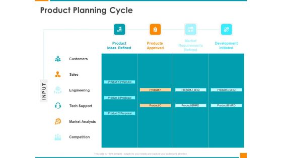 Executing Organization Commodity Strategy Product Planning Cycle Professional PDF