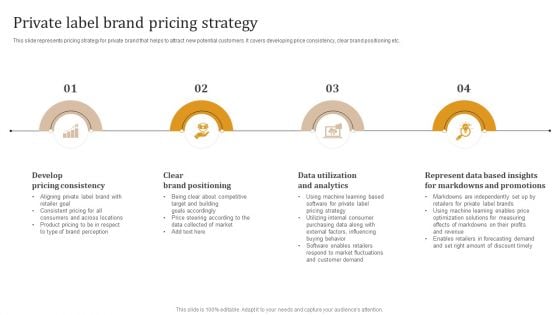 Executing Private Label Private Label Brand Pricing Strategy Topics PDF