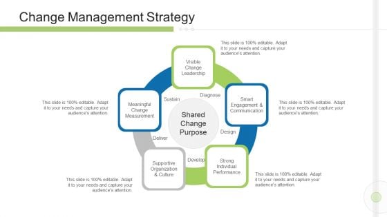 Execution Management In Business Change Management Strategy Graphics PDF