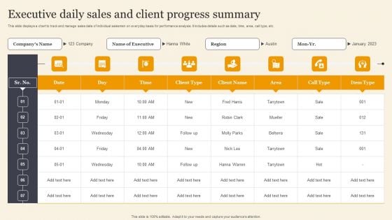 Executive Daily Sales And Client Progress Summary Template PDF