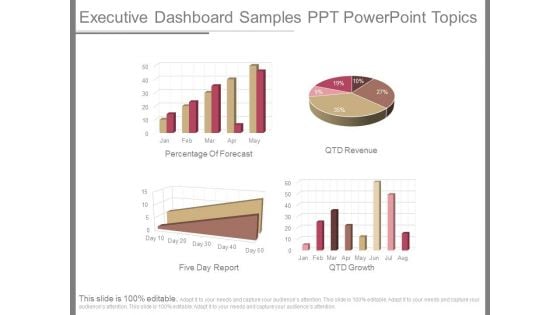 Executive Dashboard Samples Ppt Powerpoint Topics