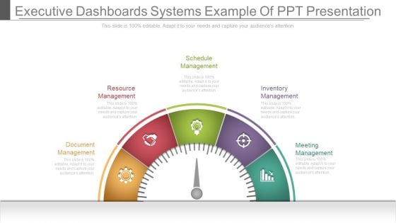 Executive Dashboards Systems Example Of Ppt Presentation