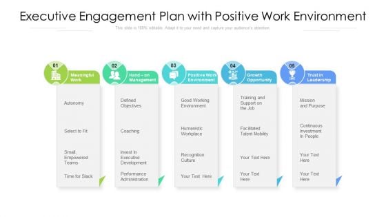 Executive Engagement Plan With Positive Work Environment Ppt Infographics Backgrounds PDF