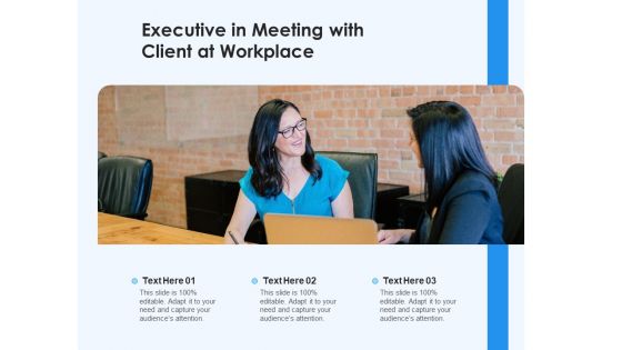 Executive In Meeting With Client At Workplace Ppt PowerPoint Presentation File Topics PDF