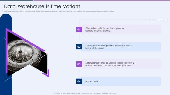 Executive Information Database System Data Warehouse Is Time Variant Portrait PDF