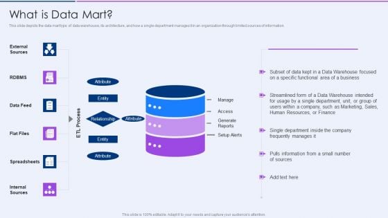 Executive Information Database System What Is Data Mart Sample PDF