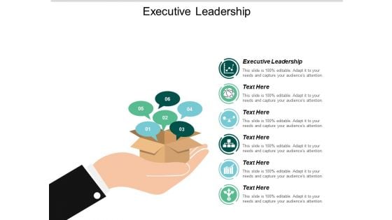 Executive Leadership Ppt PowerPoint Presentation Gallery Graphics Template Cpb