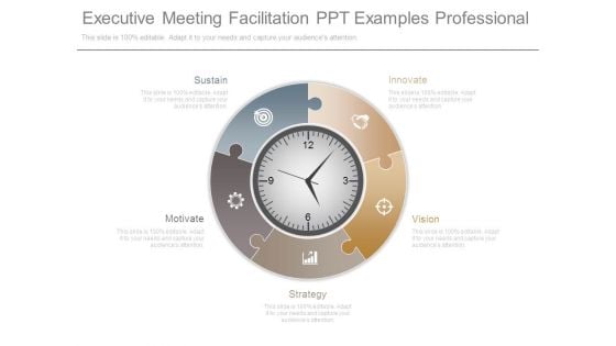 Executive Meeting Facilitation Ppt Examples Professional