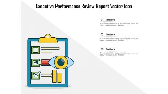 Executive Performance Review Report Vector Icon Ppt PowerPoint Presentation Gallery Maker PDF