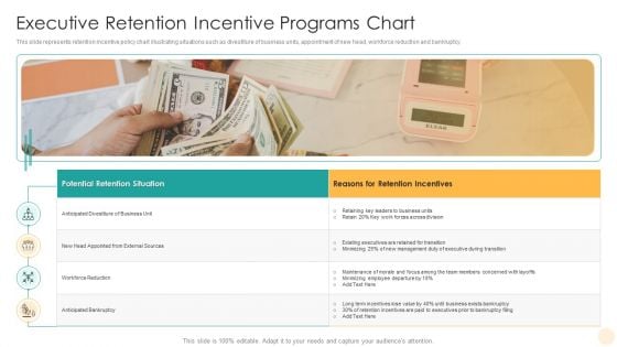 Executive Retention Incentive Programs Chart Microsoft PDF