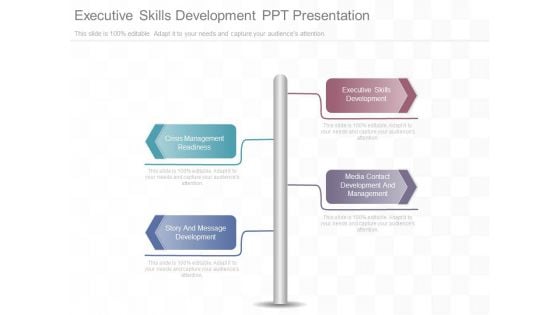 Executive Skills Development Ppt Presentation