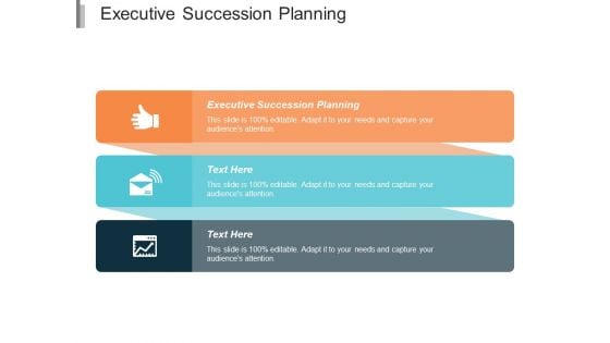 Executive Succession Planning Ppt PowerPoint Presentation Portfolio Layouts Cpb