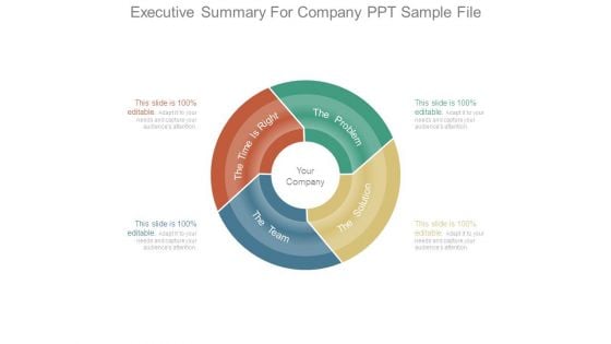 Executive Summary For Company Ppt Sample File