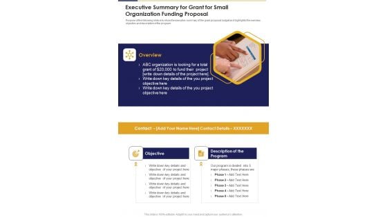Executive Summary For Grant For Small Organization Funding Proposal One Pager Sample Example Document