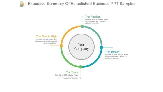 Executive Summary Of Established Business Ppt Samples