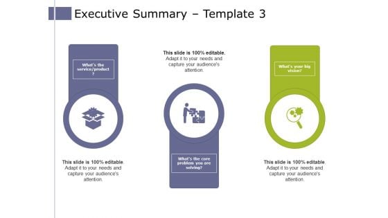 Executive Summary Template 3 Ppt PowerPoint Presentation Model Introduction