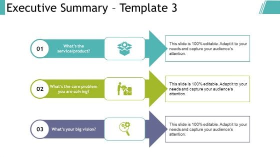 Executive Summary Template 3 Ppt PowerPoint Presentation Portfolio