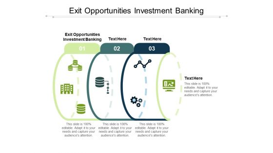 Exit Opportunities Investment Banking Ppt PowerPoint Presentation Portfolio Display Cpb Pdf