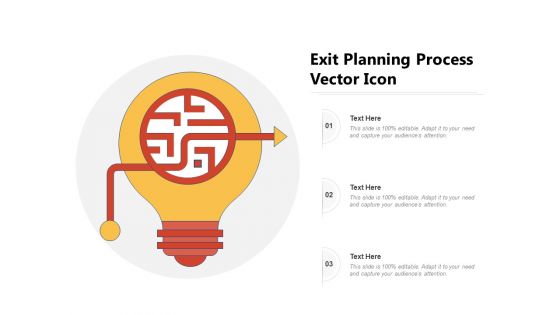 Exit Planning Process Vector Icon Ppt PowerPoint Presentation Icon Example PDF