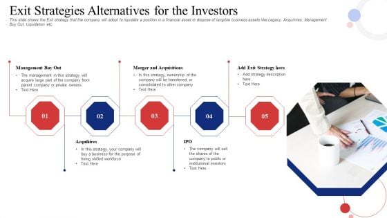 Exit Strategies Alternatives For The Investors Portrait PDF