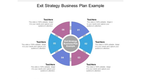 Exit Strategy Business Plan Example Ppt PowerPoint Presentation Professional Samples Cpb