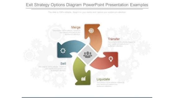 Exit Strategy Options Diagram Powerpoint Presentation Examples