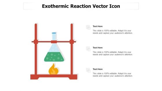 Exothermic Reaction Vector Icon Ppt PowerPoint Presentation Gallery Background Designs PDF