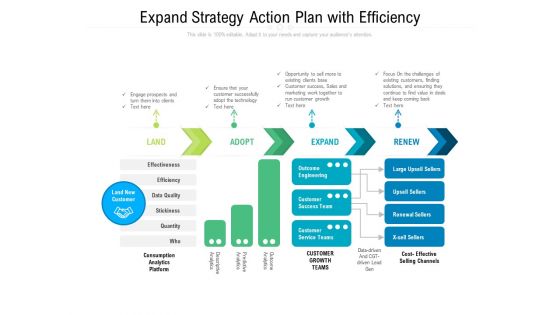 Expand Strategy Action Plan With Efficiency Ppt PowerPoint Presentation Summary Layout Ideas PDF