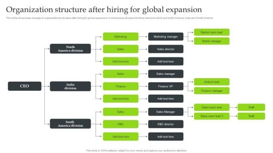 Expansion Strategic Plan Organization Structure After Hiring For Global Expansion Portrait PDF