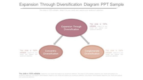 Expansion Through Diversification Diagram Ppt Sample