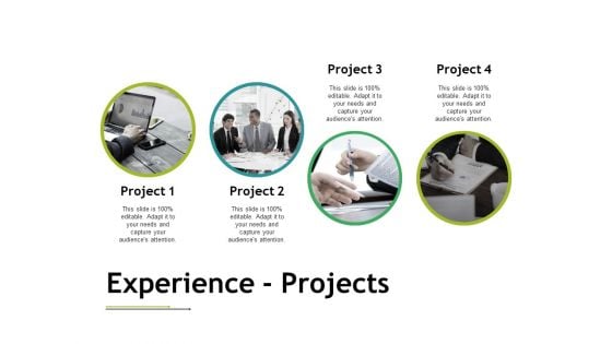 Experience Projects Ppt PowerPoint Presentation Gallery Example Introduction