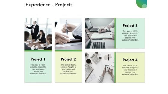 Experience Projects Ppt PowerPoint Presentation Ideas Picture