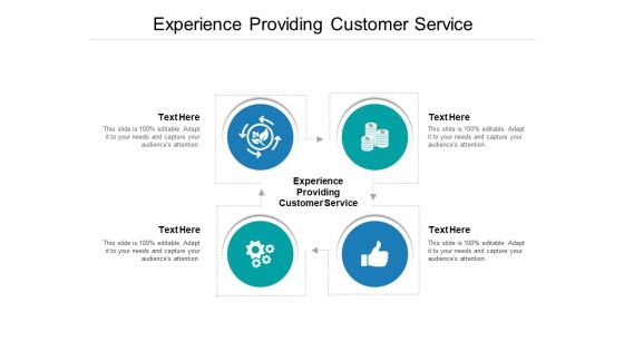 Experience Providing Customer Service Ppt PowerPoint Presentation Summary Picture Cpb