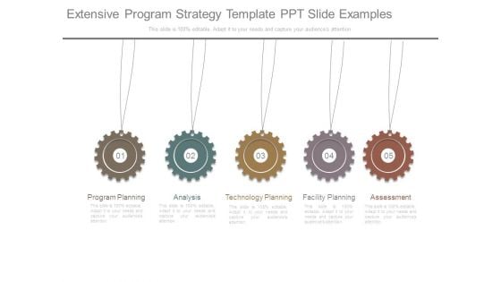 Extensive Program Strategy Template Ppt Slide Examples