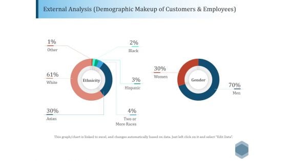 External Analysis Demographic Makeup Of Customers And Employees Ppt PowerPoint Presentation Outline Background Designs