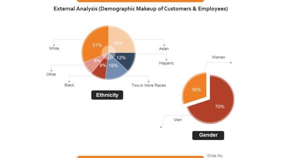 External Analysis Demographic Makeup Of Customers And Employees Ppt PowerPoint Presentation Slides Example