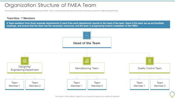 FMEA To Determine Potential Organization Structure Of Fmea Team Template PDF