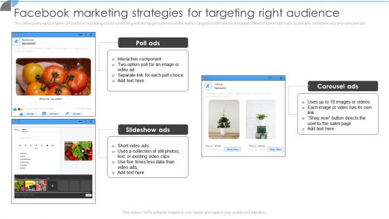 Facebook Marketing Strategies For Targeting Right Audience Portrait PDF