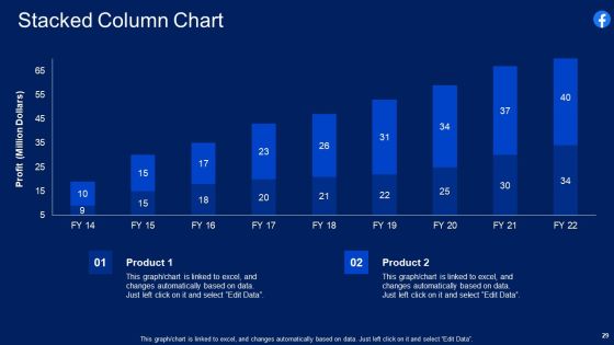 Facebook Original Capital Funding Pitch Deck Ppt PowerPoint Presentation Complete Deck With Slides Slide29