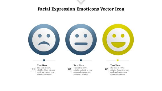 Facial Expression Emoticons Vector Icon Ppt PowerPoint Presentation Icon Portfolio PDF