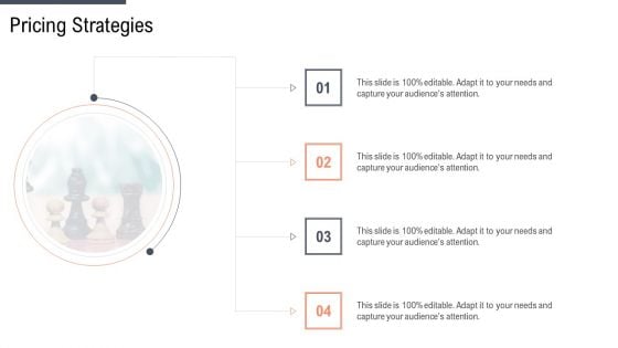 Factor Approaches For Potential Audience Targeting Pricing Strategies Sample PDF