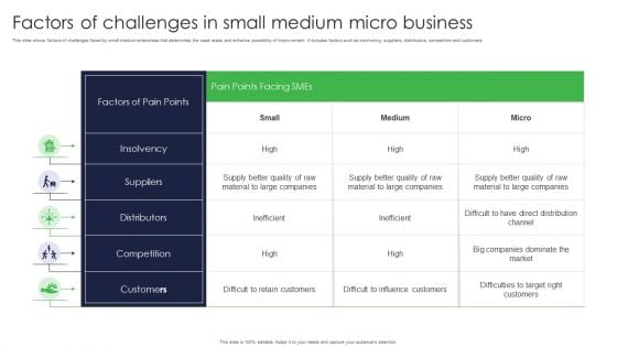 Factors Of Challenges In Small Medium Micro Business Ppt Infographic Template Professional PDF