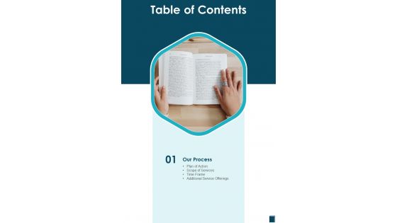 Factual Book Proposal Table Of Contents One Pager Sample Example Document