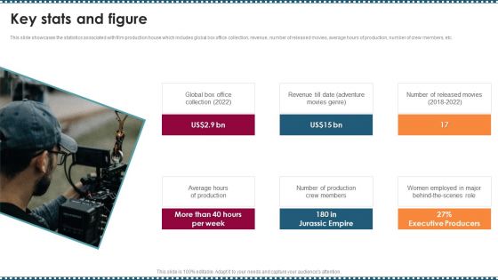 Feature Film Production Company Profile Key Stats And Figure Information PDF