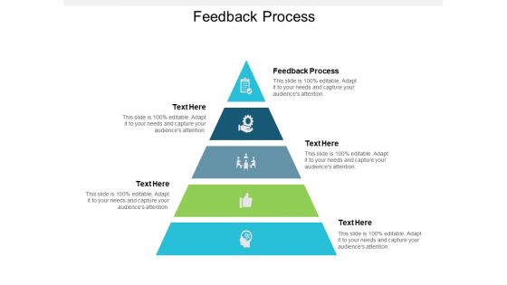 Feedback Process Ppt Powerpoint Presentation Pictures Brochure Cpb