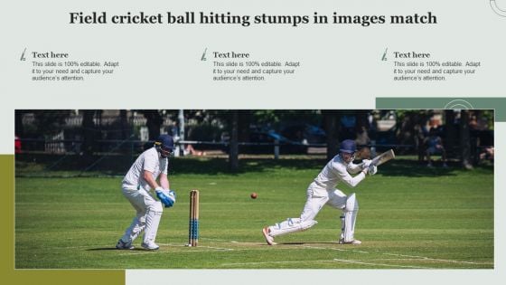 Field Cricket Ball Hitting Stumps In Images Match Background PDF