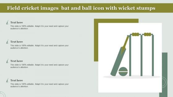 Field Cricket Images Bat And Ball Icon With Wicket Stumps Microsoft PDF